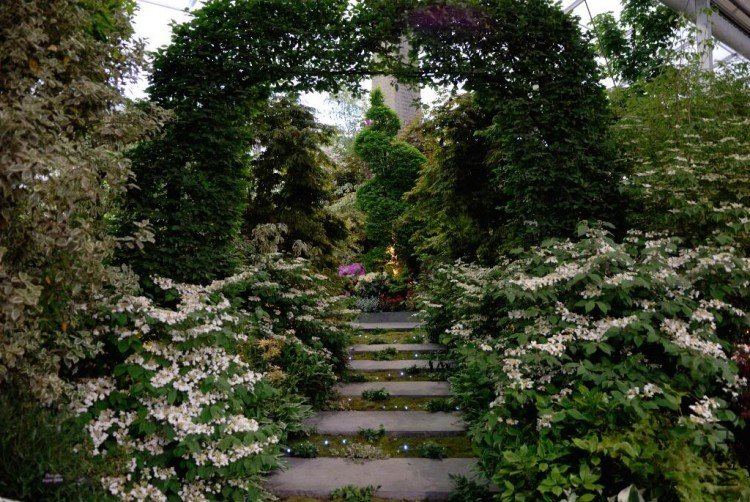 DSC_9511Chelseaforestwalk.jpg
