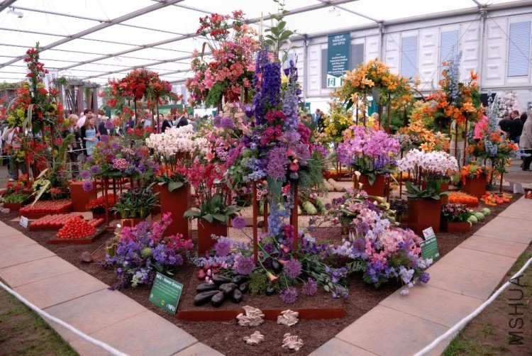 DSC_9268ChelseaflowersHomegrown.jpg