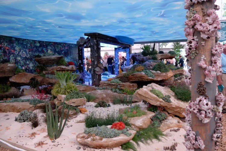 DSC_9269ChelseaCaymanIslands.jpg
