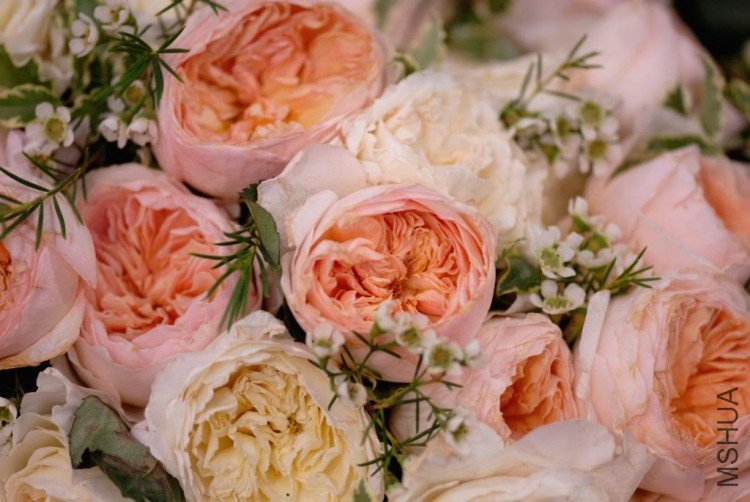 DSC_9368ChelseaAustinposy.jpg
