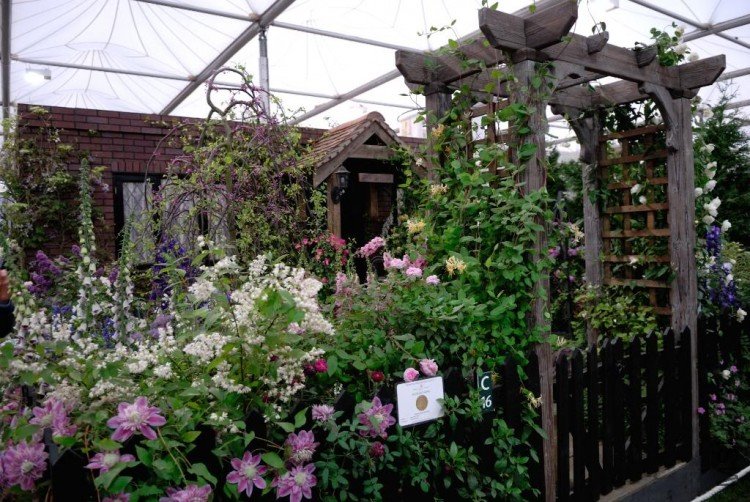 DSC_9423Chelseacottagegarden.jpg