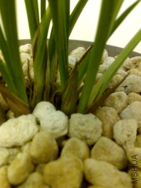 20100414116.jpg