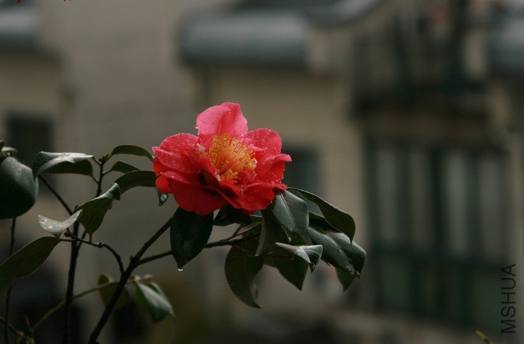 IMG_3814x.jpg
