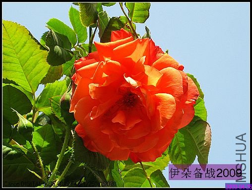 485926e7t6abe0a1e922b&690.jpg