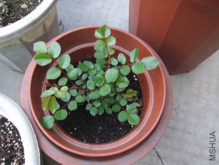 DSCF0615.JPG