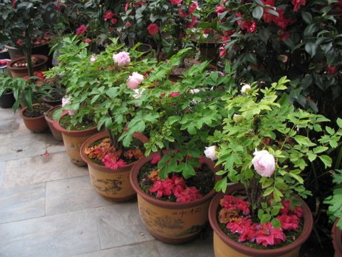 ��������.����.����.�軨�� 005.jpg