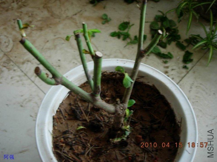 nEO_IMG_�һ�÷�� 014.jpg