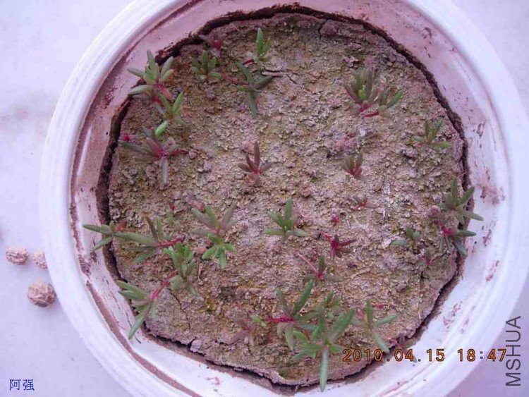 nEO_IMG_�һ�÷�� 004.jpg