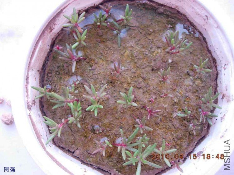 nEO_IMG_�һ�÷�� 005.jpg