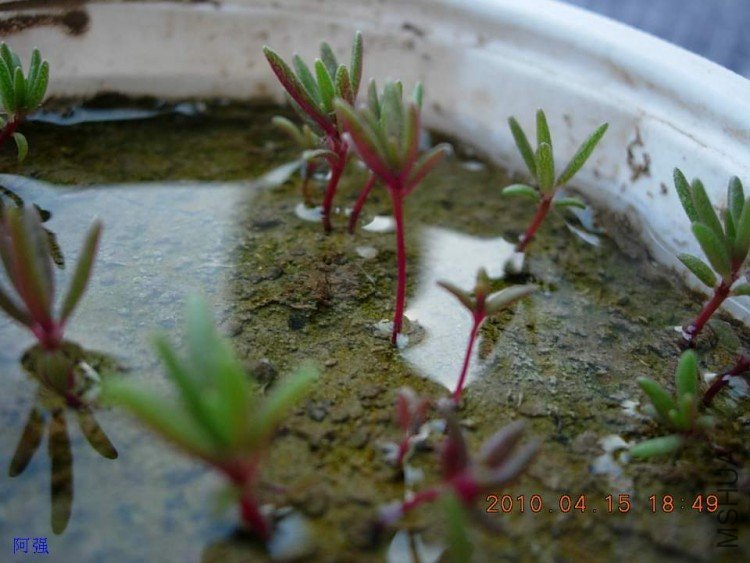 nEO_IMG_�һ�÷�� 006.jpg