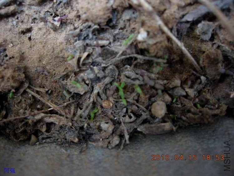 nEO_IMG_�һ�÷�� 009.jpg