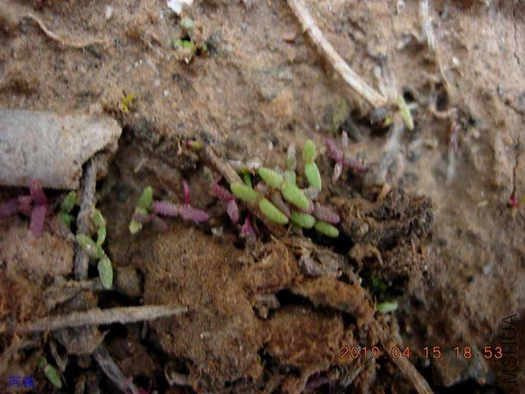 nEO_IMG_�һ�÷�� 008.jpg