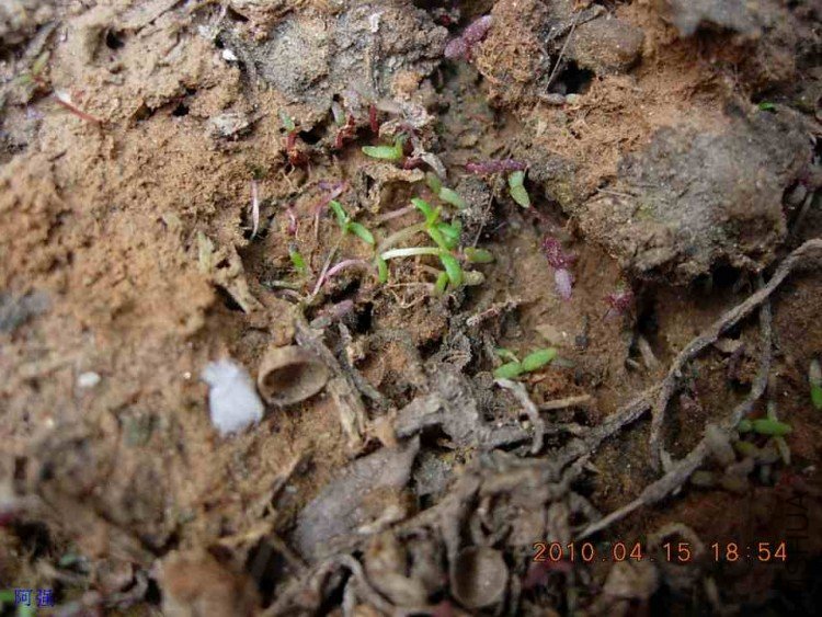 nEO_IMG_�һ�÷�� 010.jpg