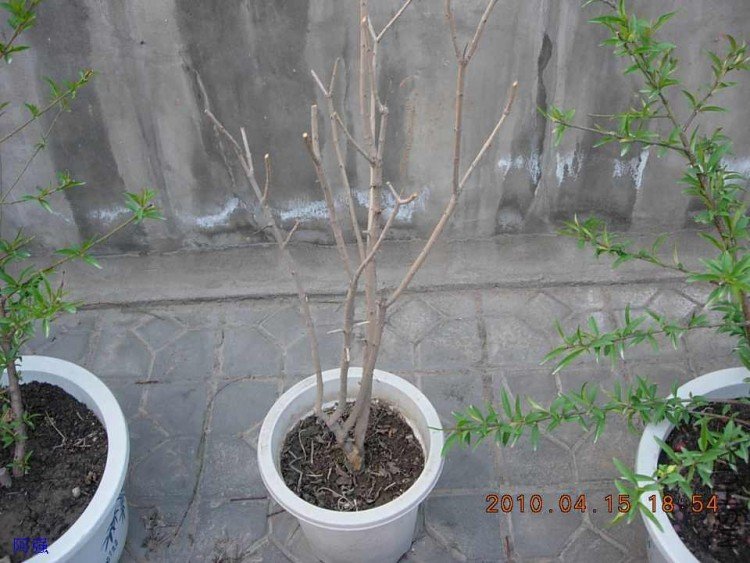 nEO_IMG_�һ�÷�� 011.jpg