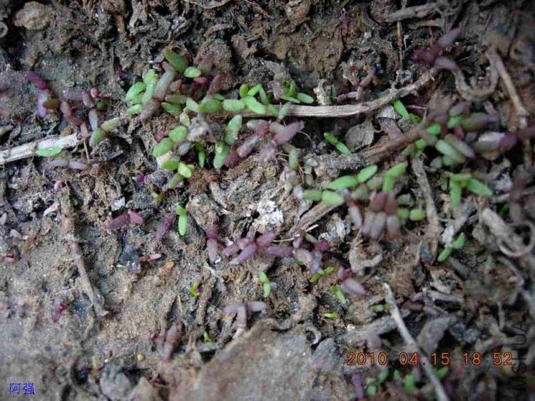 nEO_IMG_�һ�÷�� 007.jpg