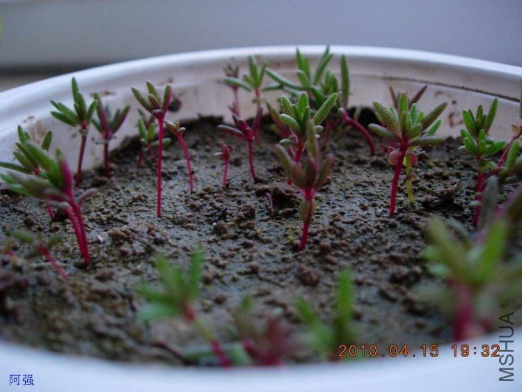 nEO_IMG_�һ�÷�� 018.jpg