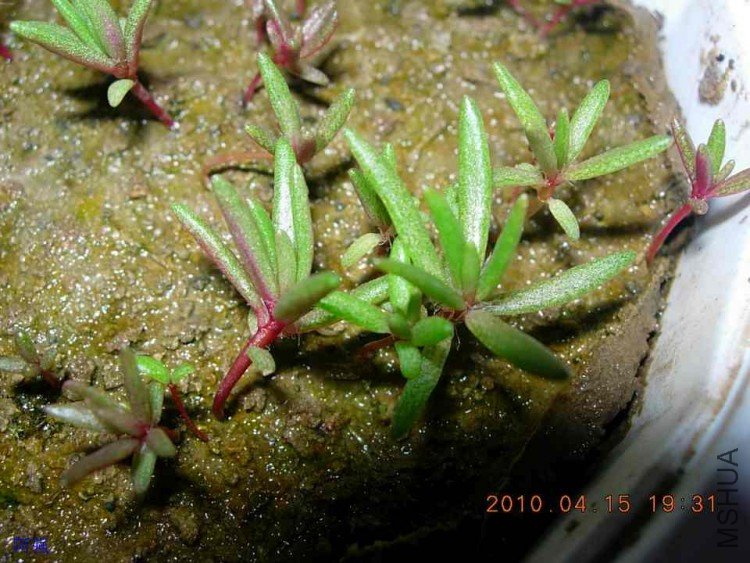 nEO_IMG_�һ�÷�� 015.jpg