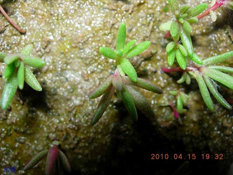 nEO_IMG_�һ�÷�� 017.jpg