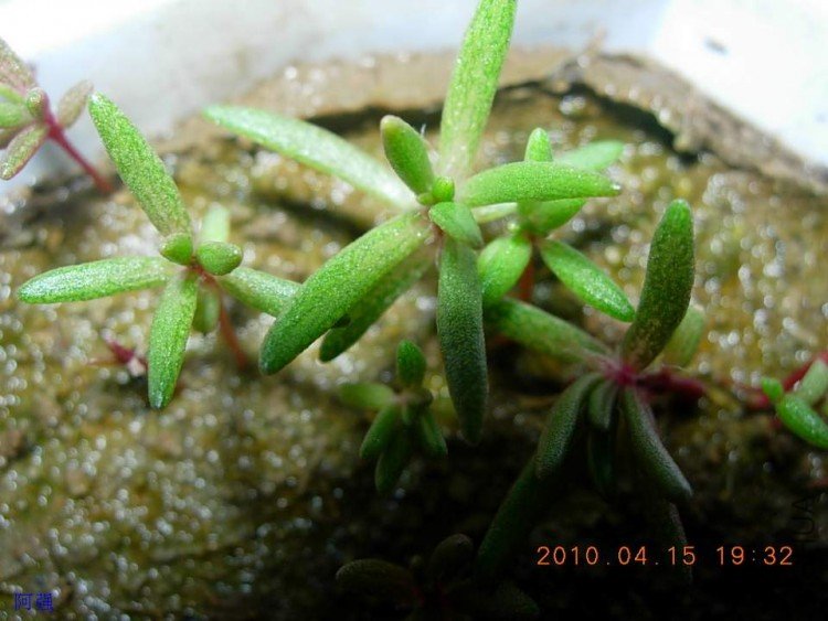 nEO_IMG_�һ�÷�� 016.jpg