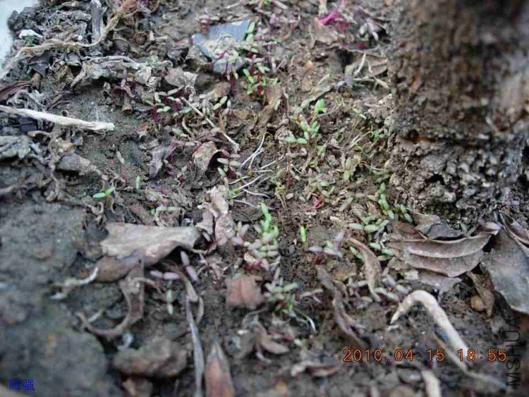 nEO_IMG_�һ�÷�� 012.jpg