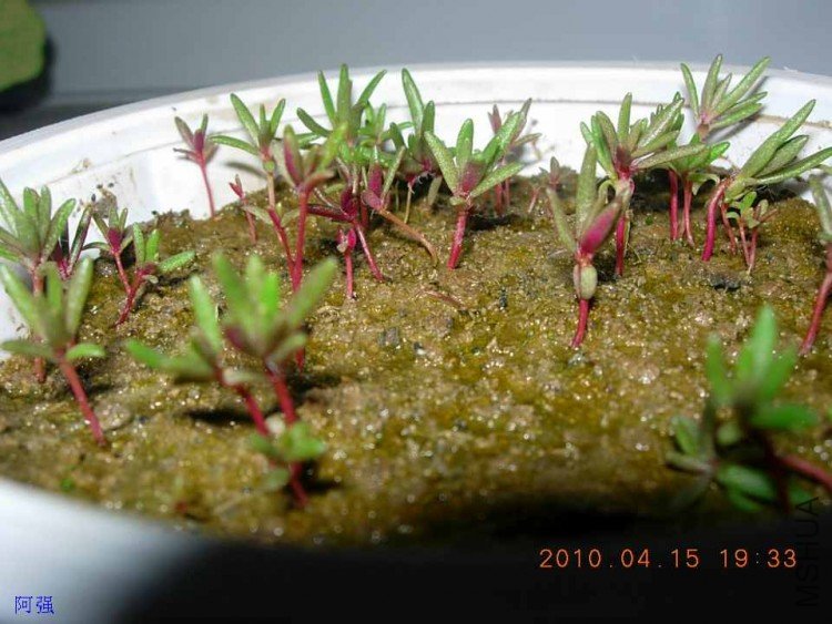 nEO_IMG_�һ�÷�� 019.jpg