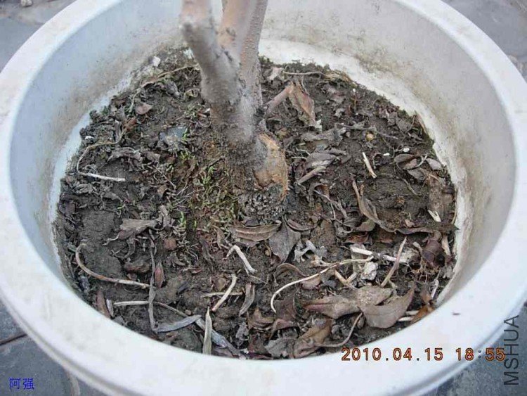 nEO_IMG_�һ�÷�� 013.jpg