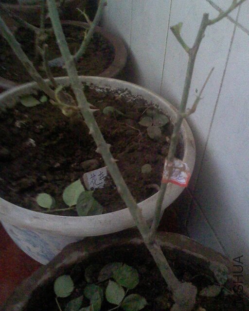100416_1255_04.jpg