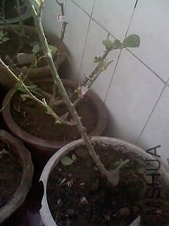100416_1251_01.jpg