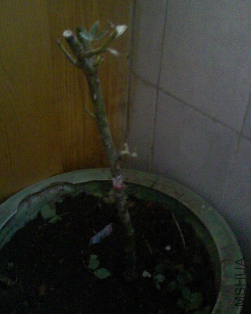 100416_1254_04.jpg