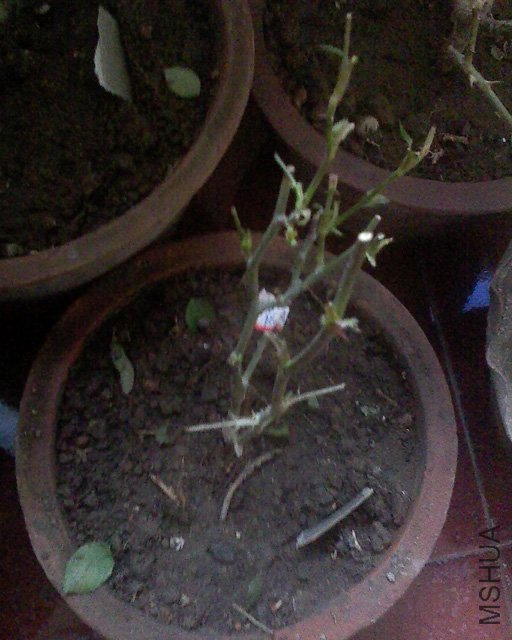 100416_1255.jpg