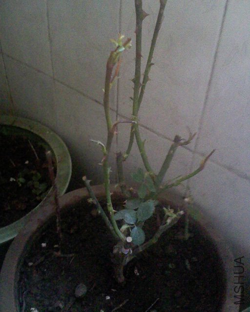 100416_1254_03.jpg