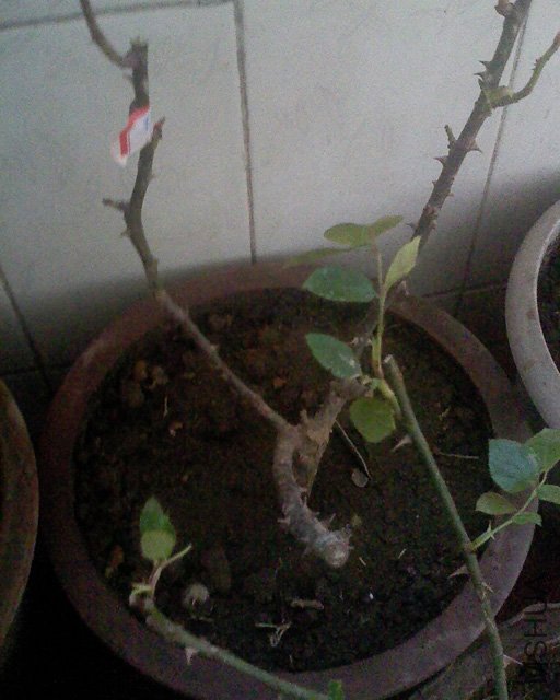 100416_1255_02.jpg