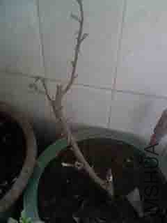 100416_1250.jpg
