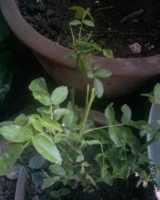 100416_1255_01.jpg