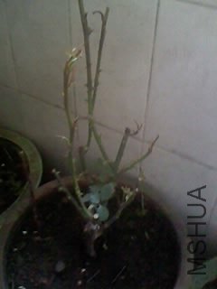 100416_1250_01.jpg