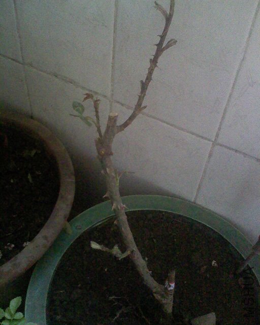100416_1254.jpg