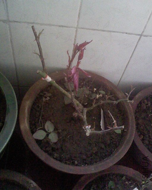 100416_1254_01.jpg