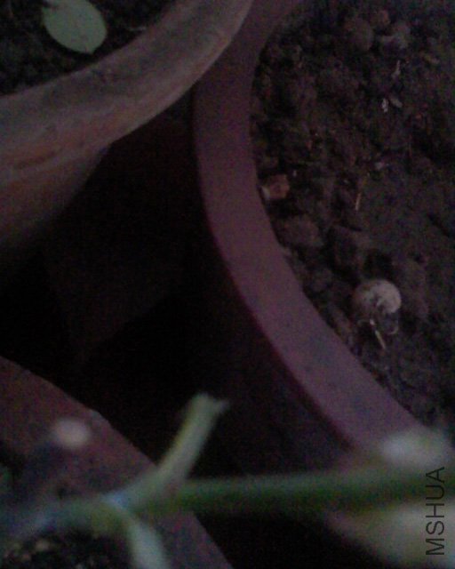 100416_1256.jpg