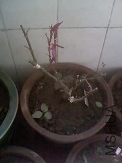100416_1249.jpg