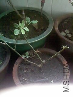 100416_1249_01.jpg