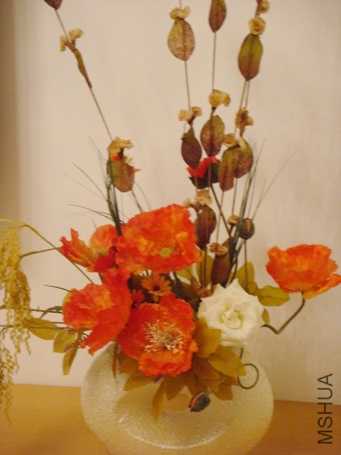 DSC02163.JPG