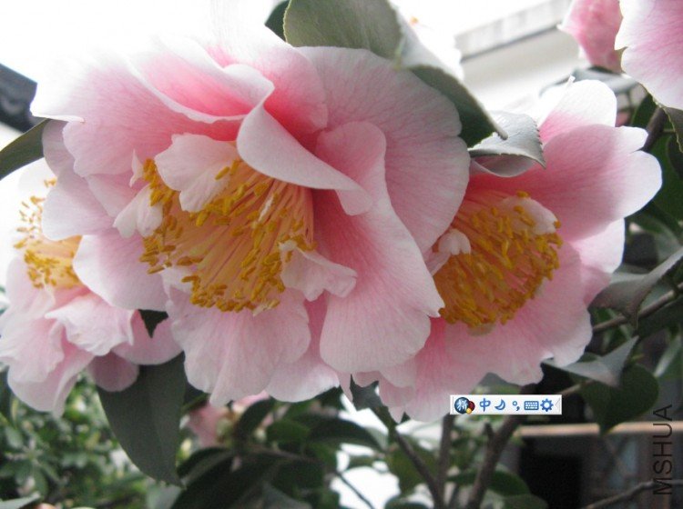 Image00002.jpg