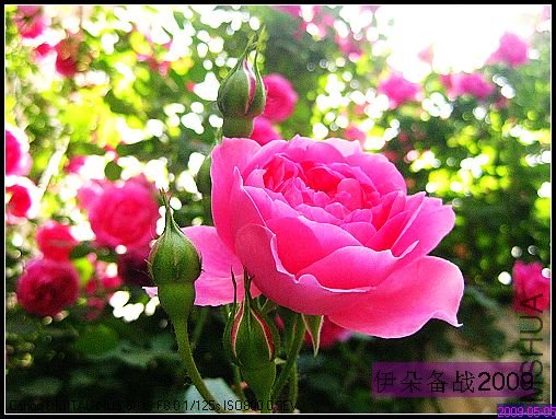 nEO_IMG_��Ƭ 042.jpg