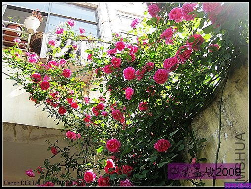 nEO_IMG_��Ƭ 044.jpg