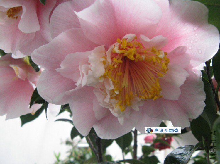 Image00006.jpg