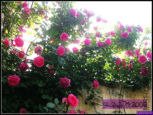 nEO_IMG_��Ƭ 032.jpg