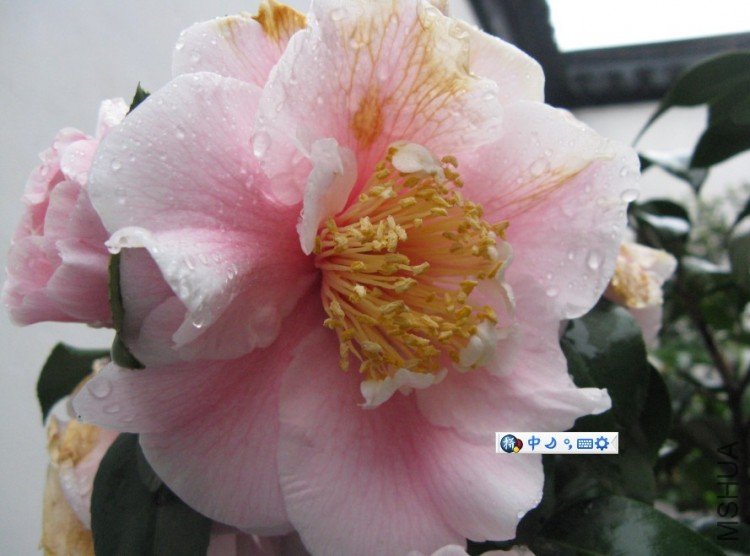 Image00005.jpg