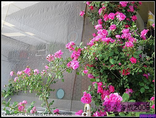 nEO_IMG_��Ƭ 017.jpg