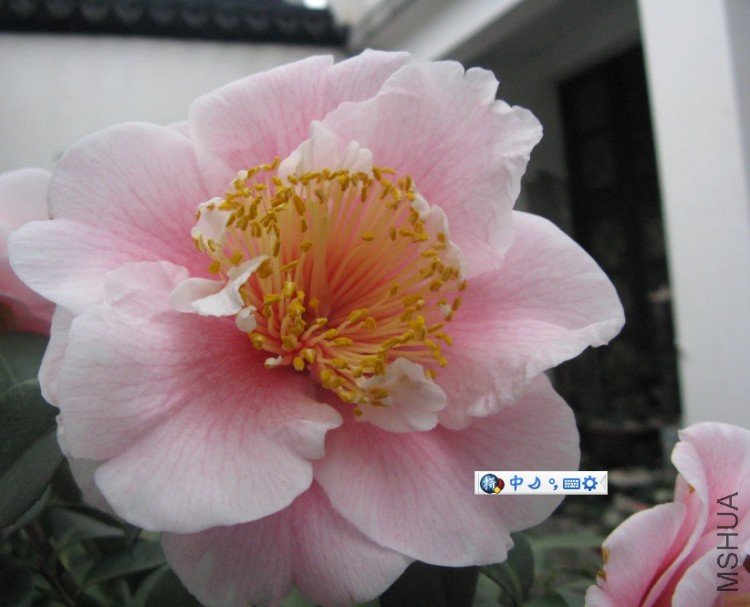 Image00003.jpg