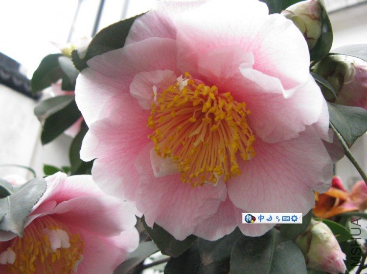 Image00001.jpg